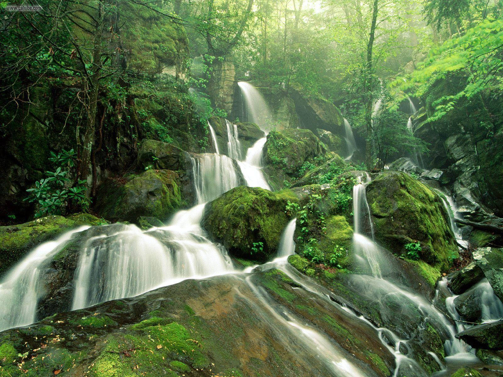 Explore The Magnificent Great Smoky Mountains Background