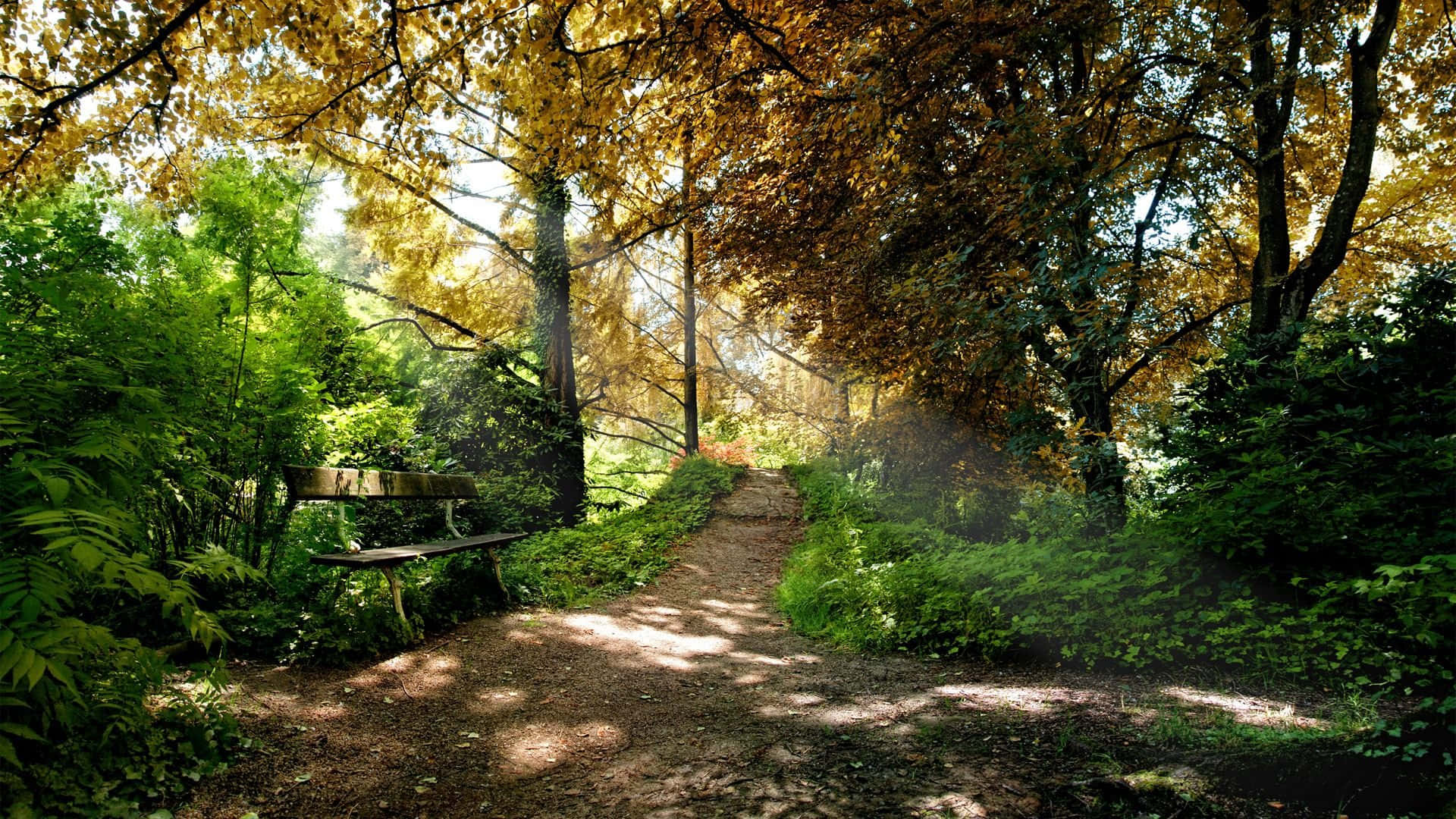 Explore The Majestic Beauty Of Nature Background