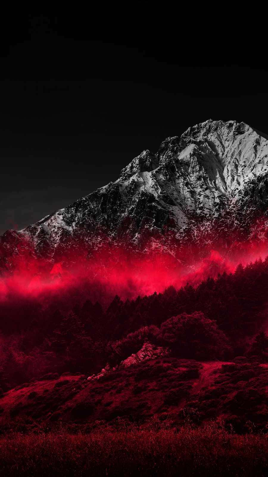 'explore The Mysterious Red Forest' Background