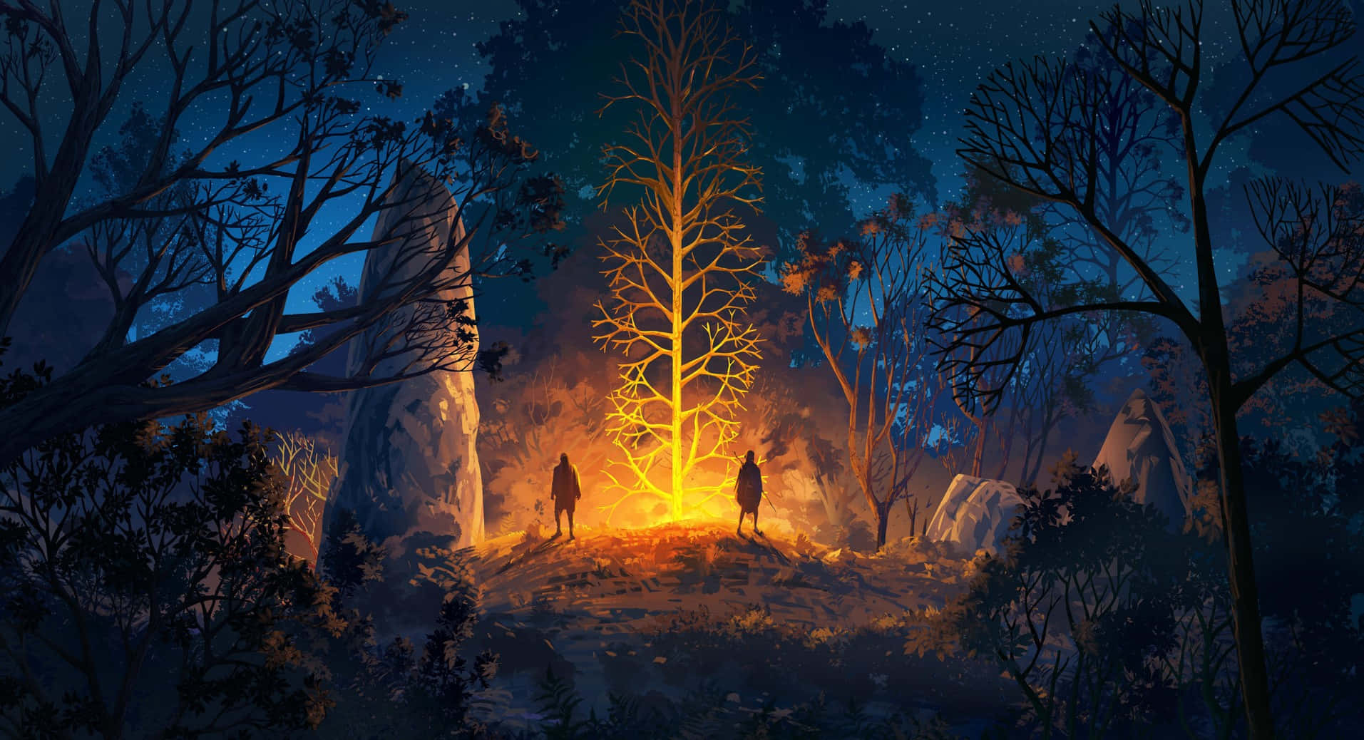 Explore The Mystique Of A Nighttime Forest Background