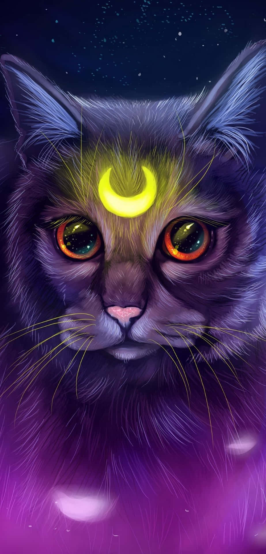 Explore The Night Sky With This Adventurous Galaxy Cat