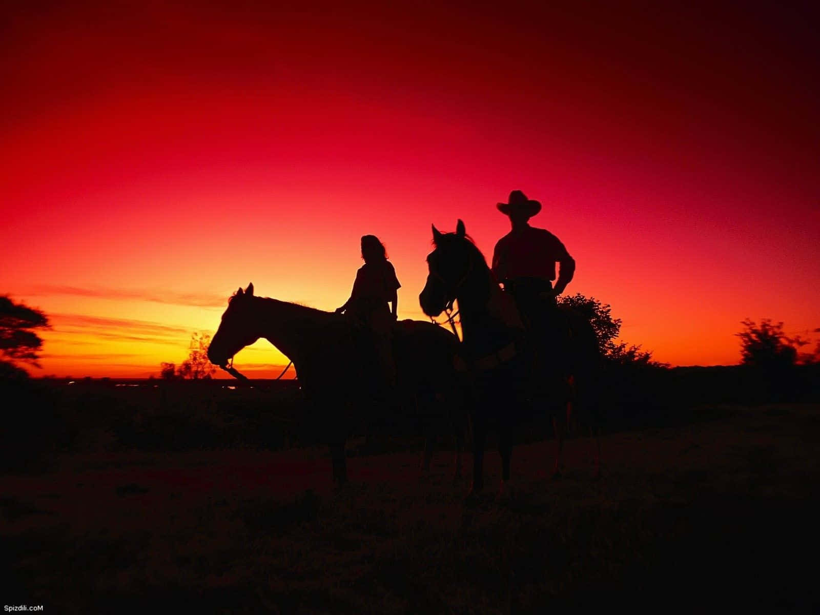 Explore The Open West Background