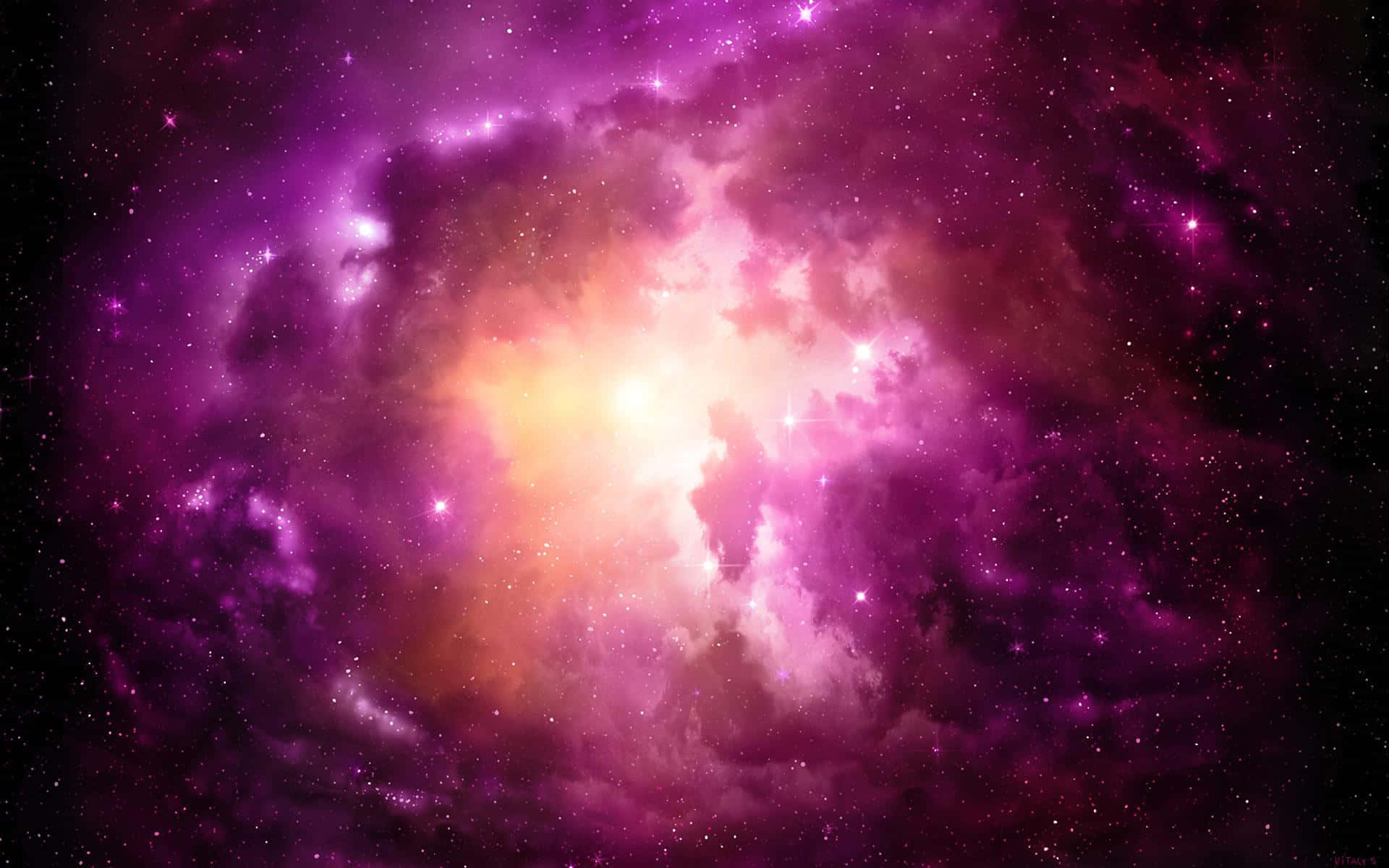 Explore The Pink Space For A Unique Experience