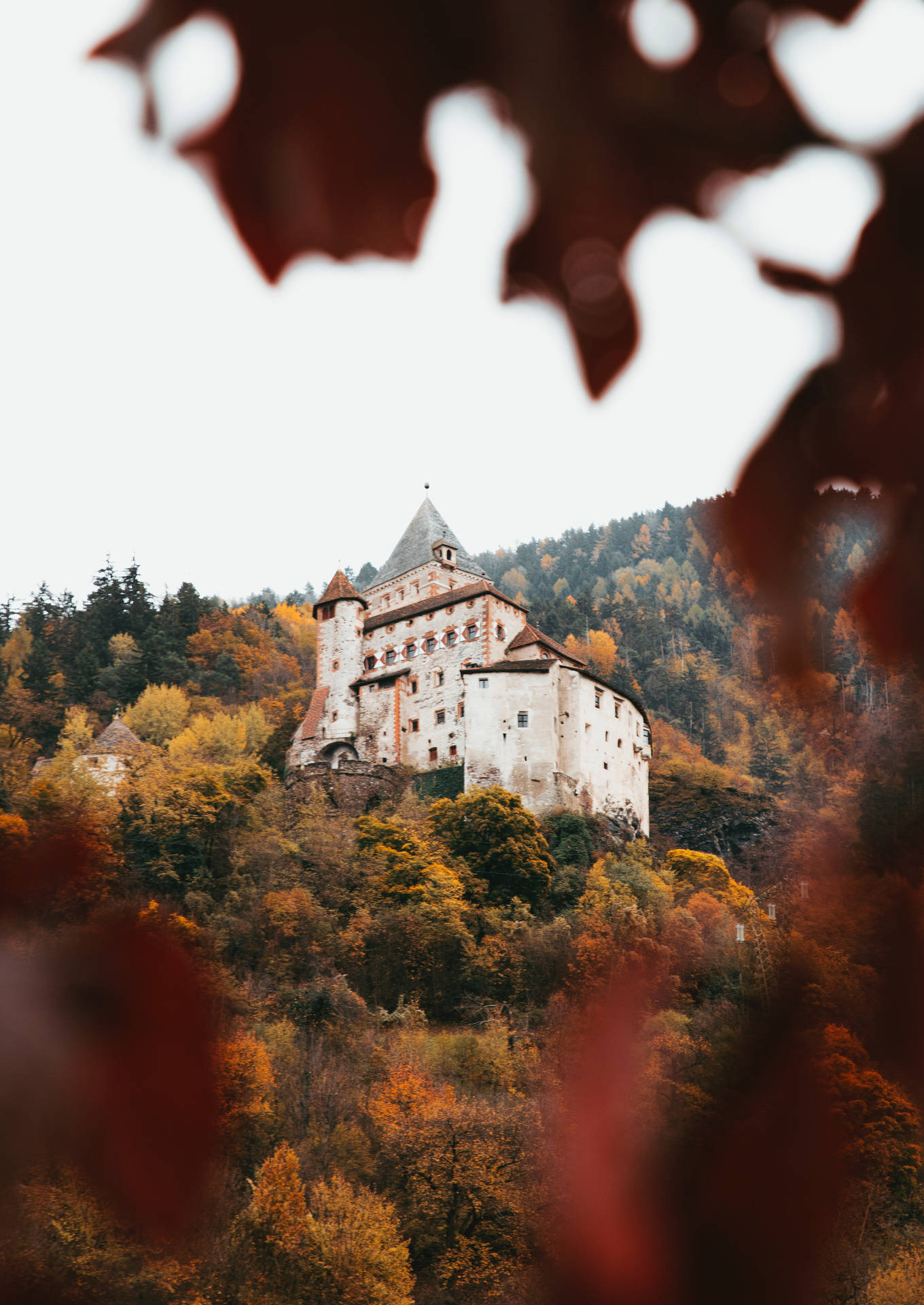 Explore The Serenity Of The Rolling Hills And Lush Forests Of This Medieval Castle. Background