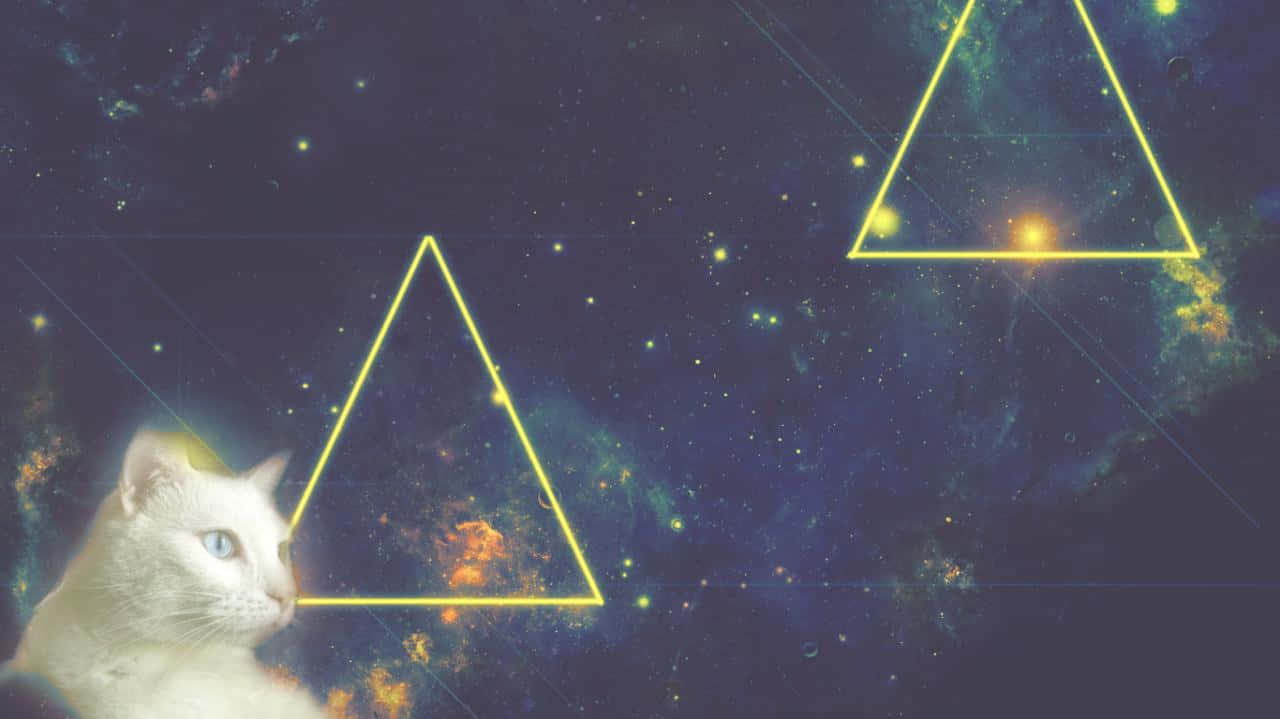 Explore The Stars With Galaxy Cat! Background