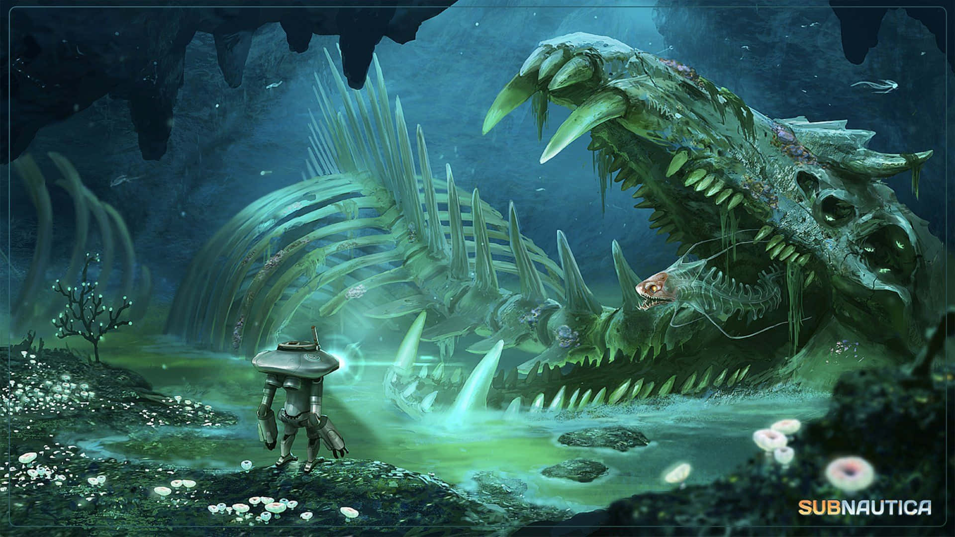 Explore The Vibrant Depths Of Subnautica In 4k Background