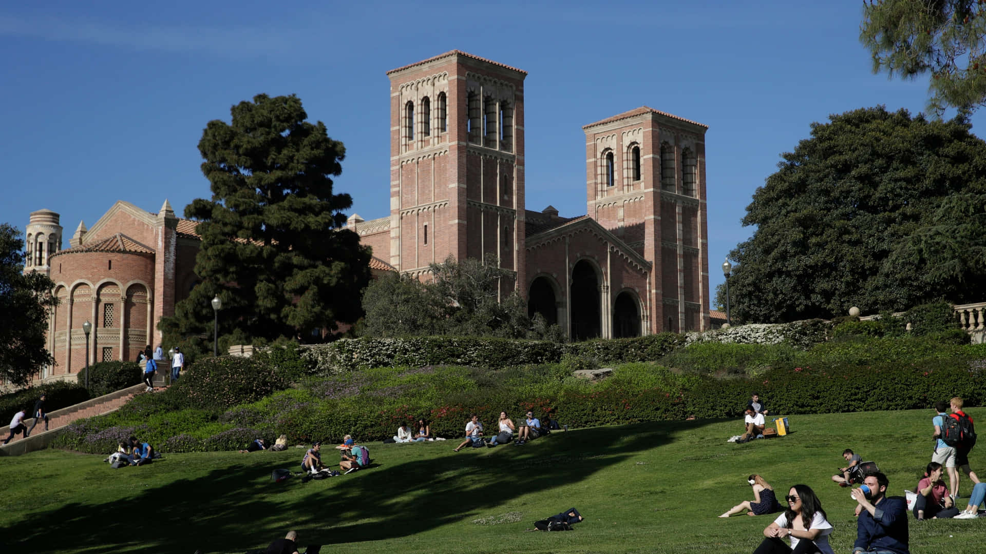 Explore The Vibrant University Of California Los Angeles (ucla) Campus Background