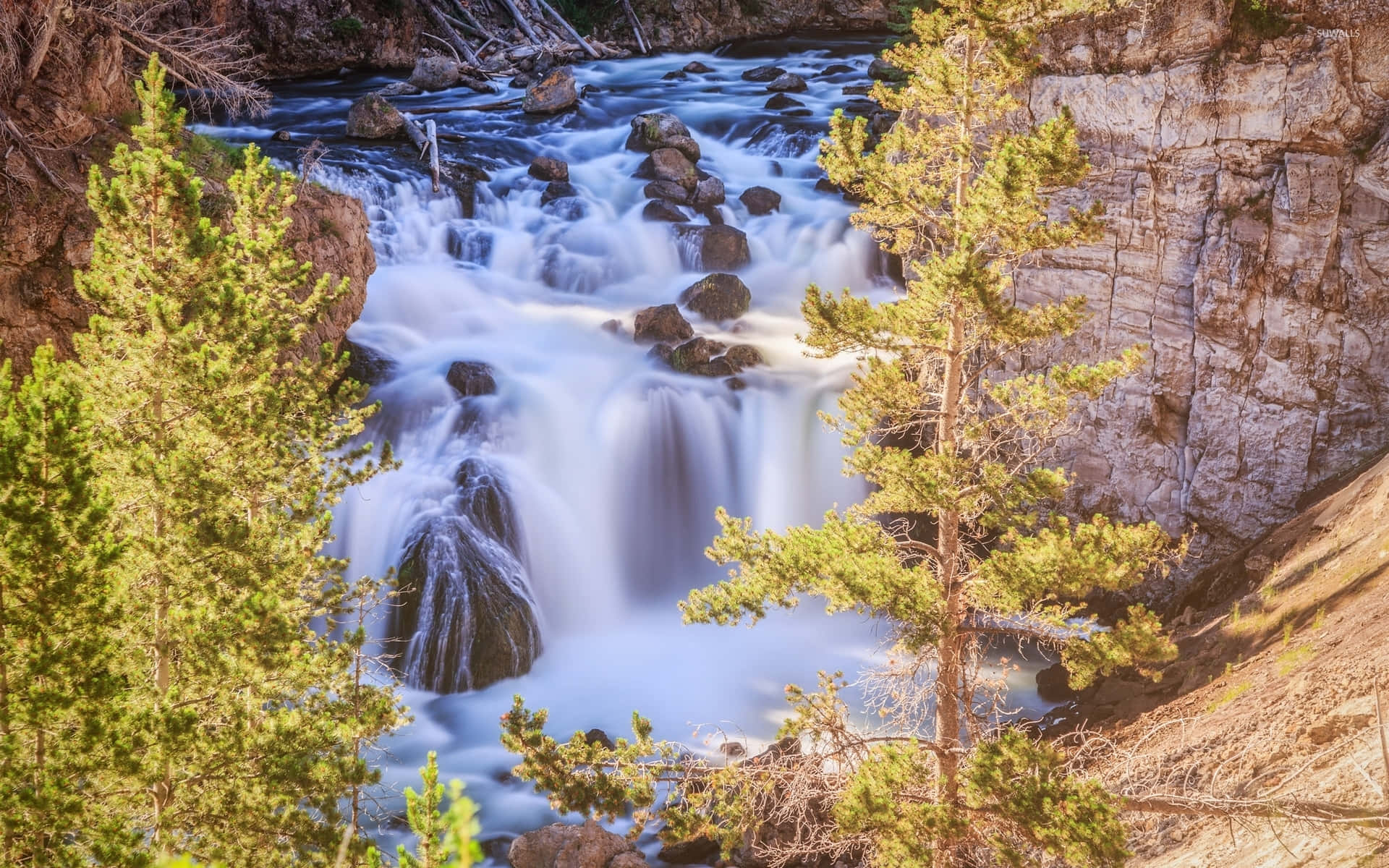 Explore The Wonderland Of Yellowstone National Park Background