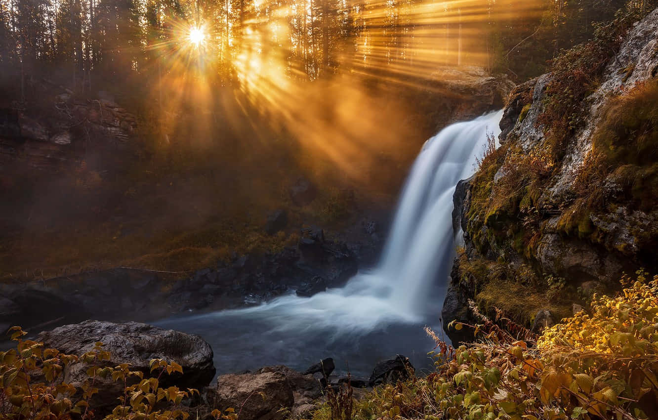 Explore The Wonders Of Yellowstone National Park Background