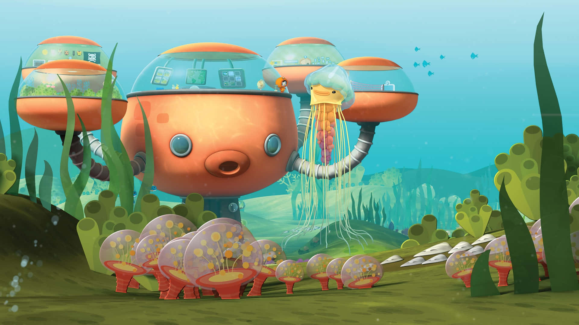 Explore The World Of Adventure With The Octonauts! Background