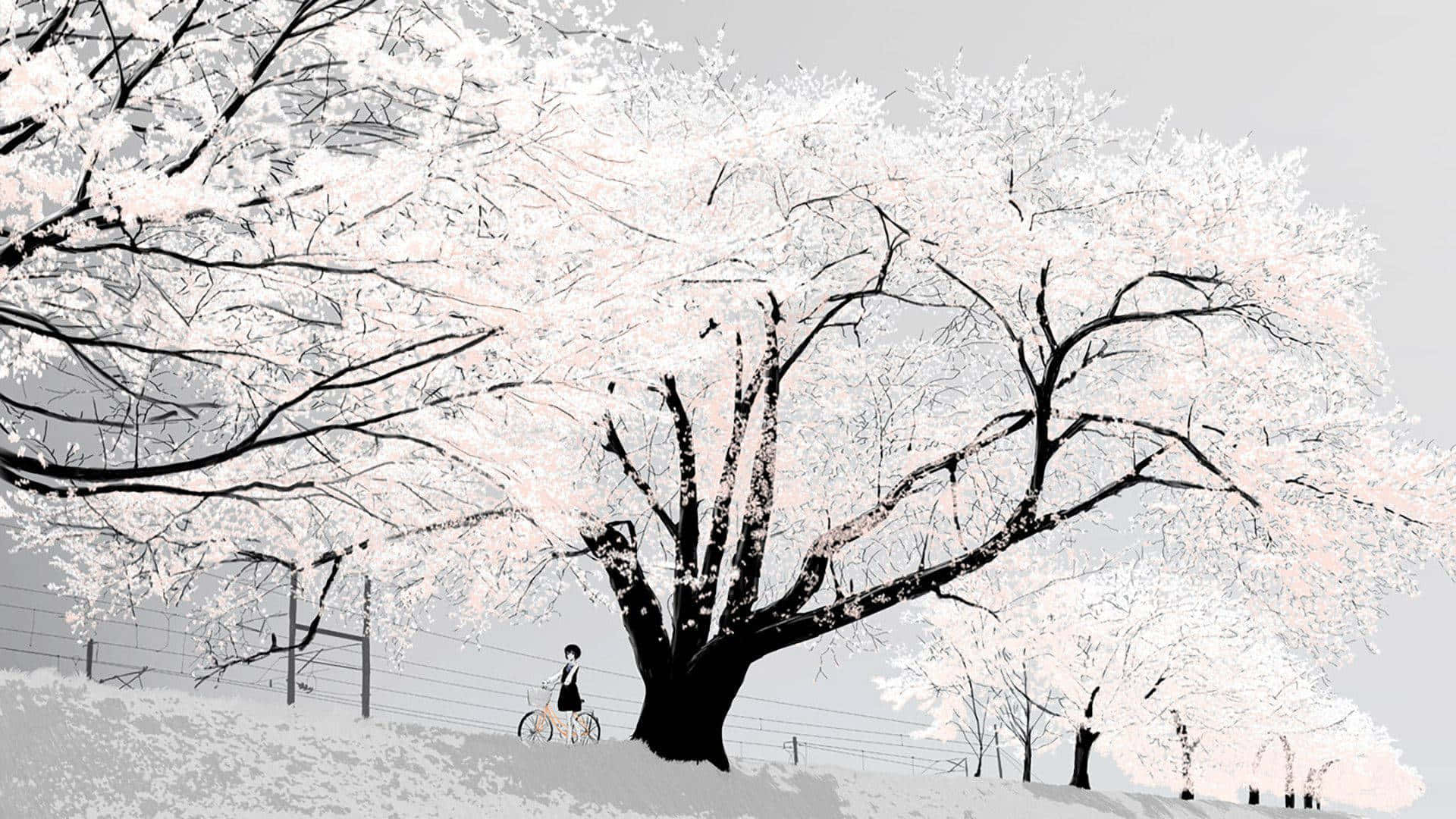 Explore The World Of Anime White Background