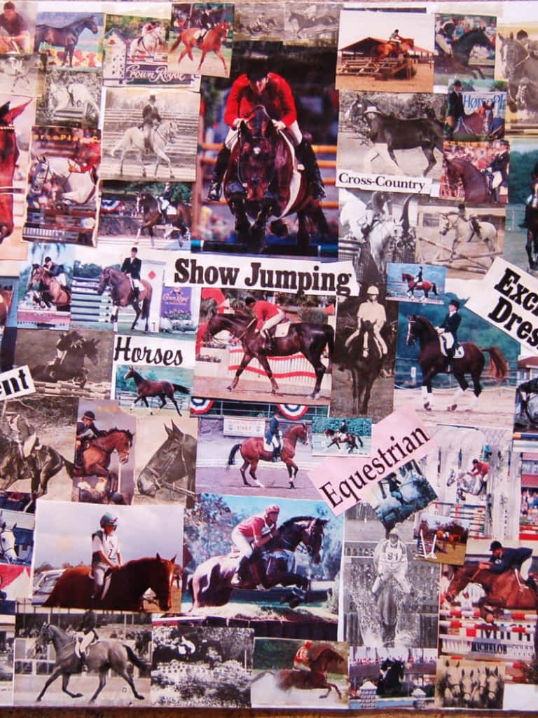 Explore The World Of Horse Racing With This Horse Collage. Background