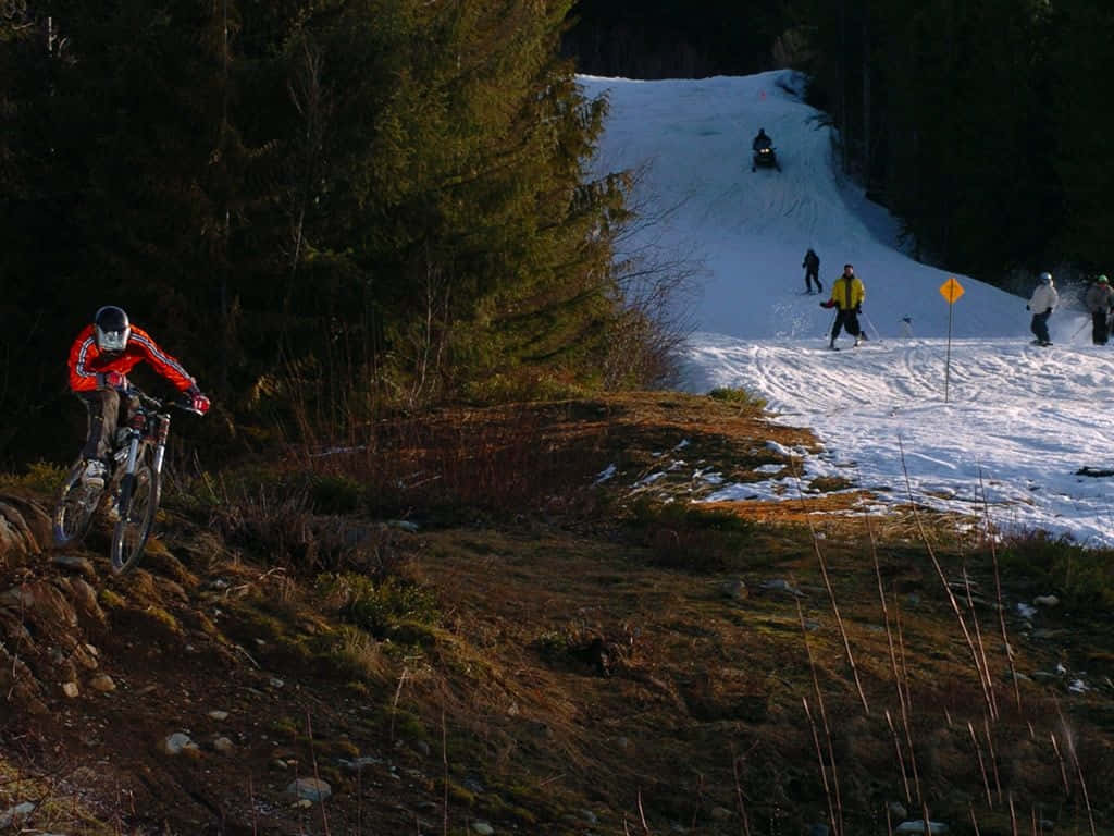 Explore Trails With The Specialized Mountain Bike Background