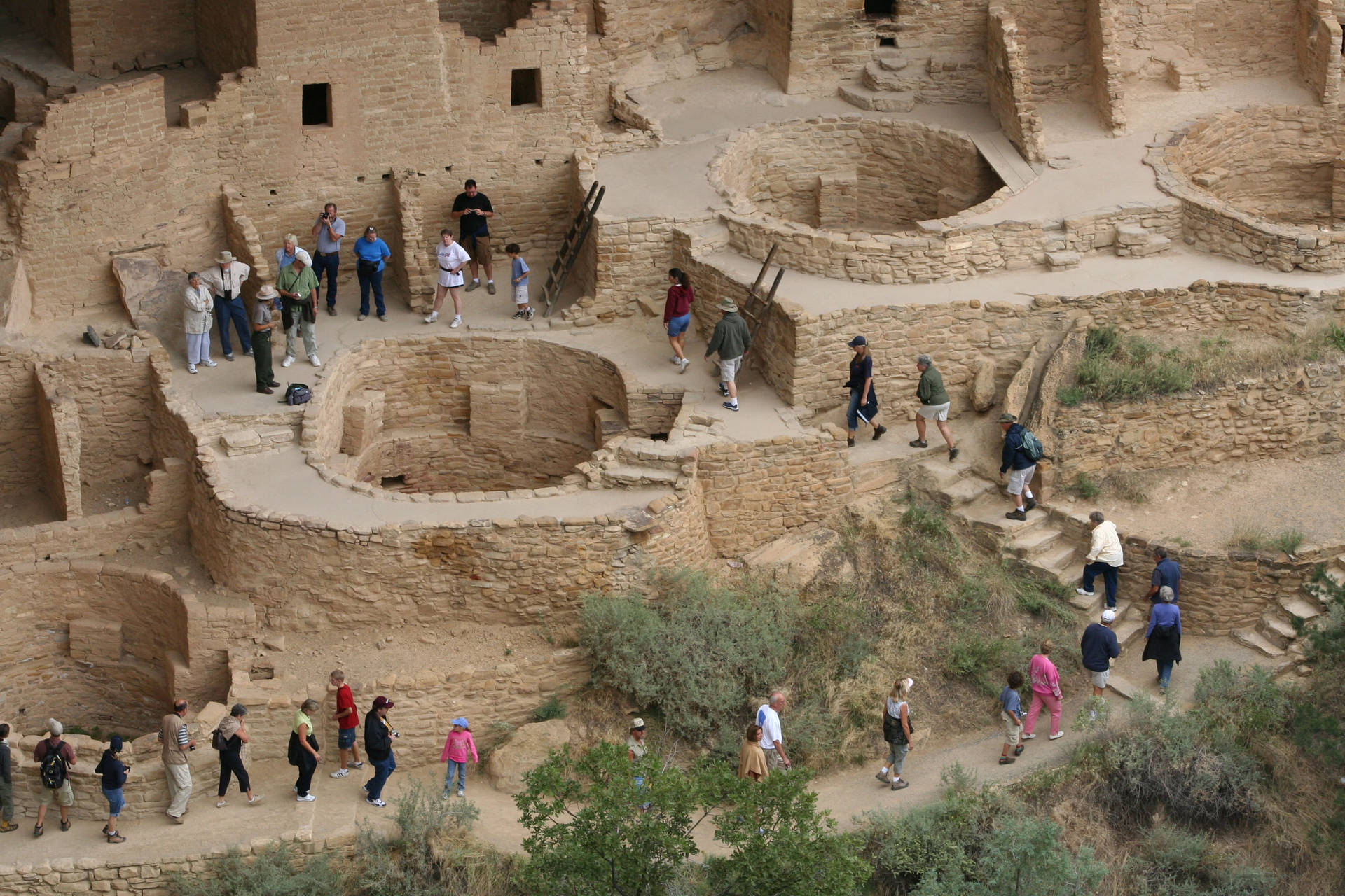 Exploring Ancient Heritage With Tourists In Mesa Verde National Park Background