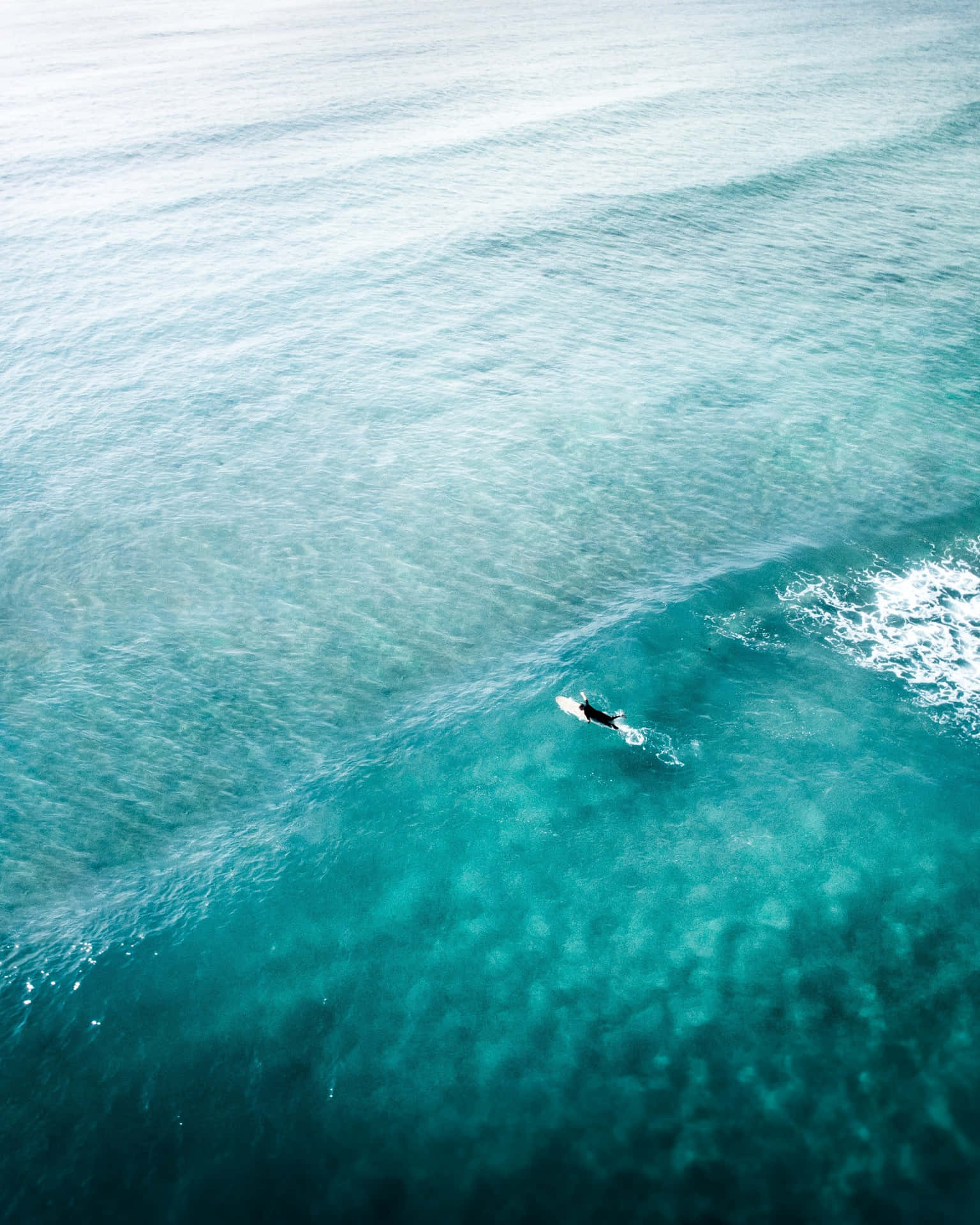 Exploring The Aesthetic Beauty Of Hawaii