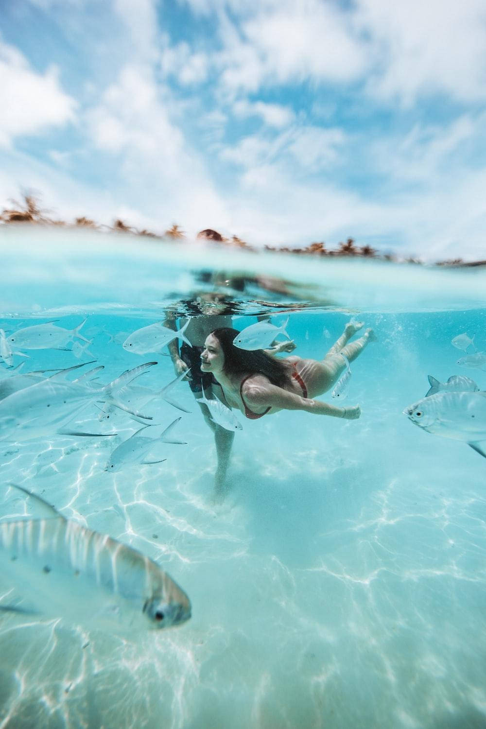 Exploring The Depths - Aesthetic Teal Underwater Scene Background