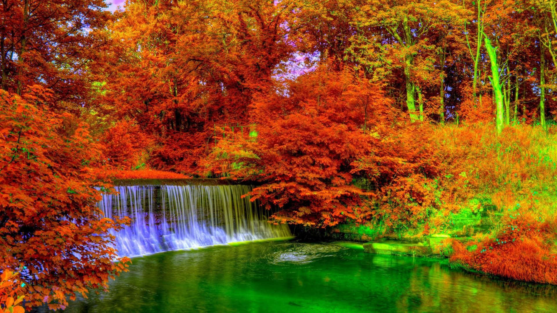 Exploring The Red And Gold Colors Of The Fall Season Background