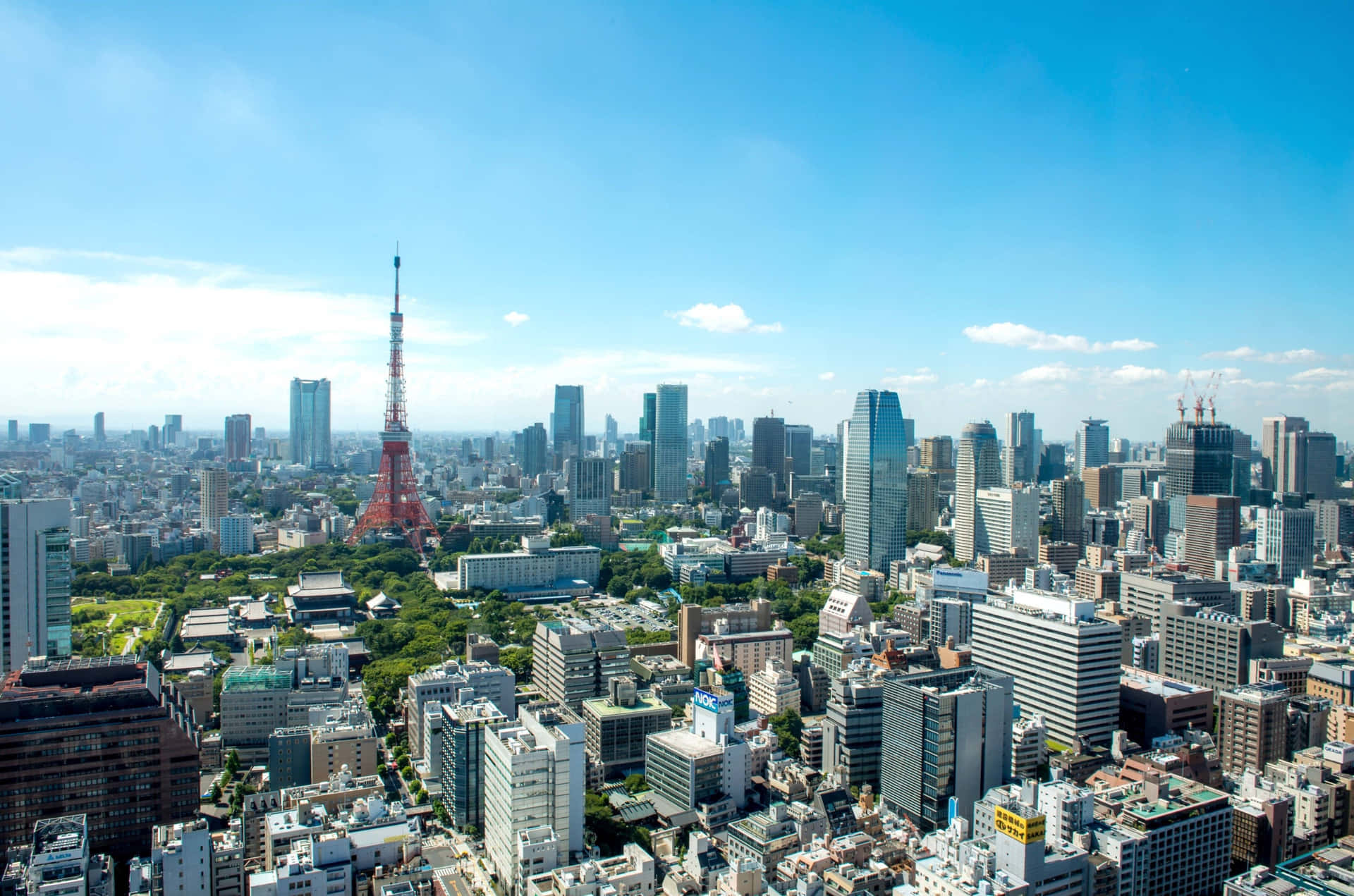 Exploring Tokyo's Harajuku District Background