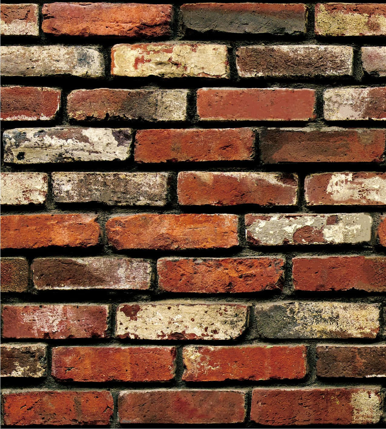 Exposed Dark Bricks