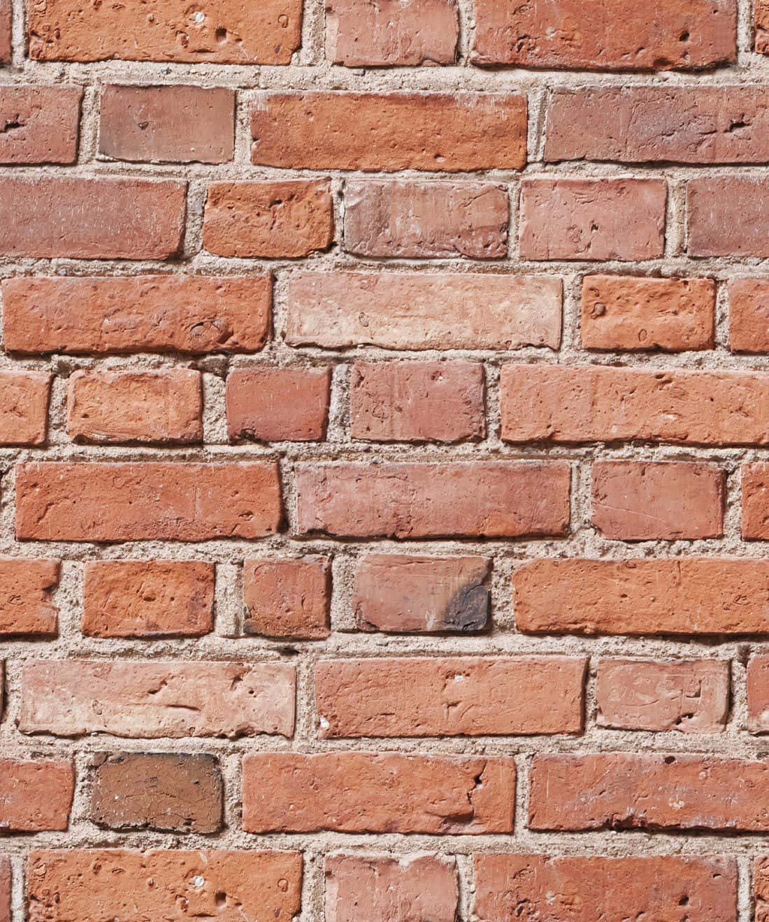 Exposed Light Brown Bricks Background