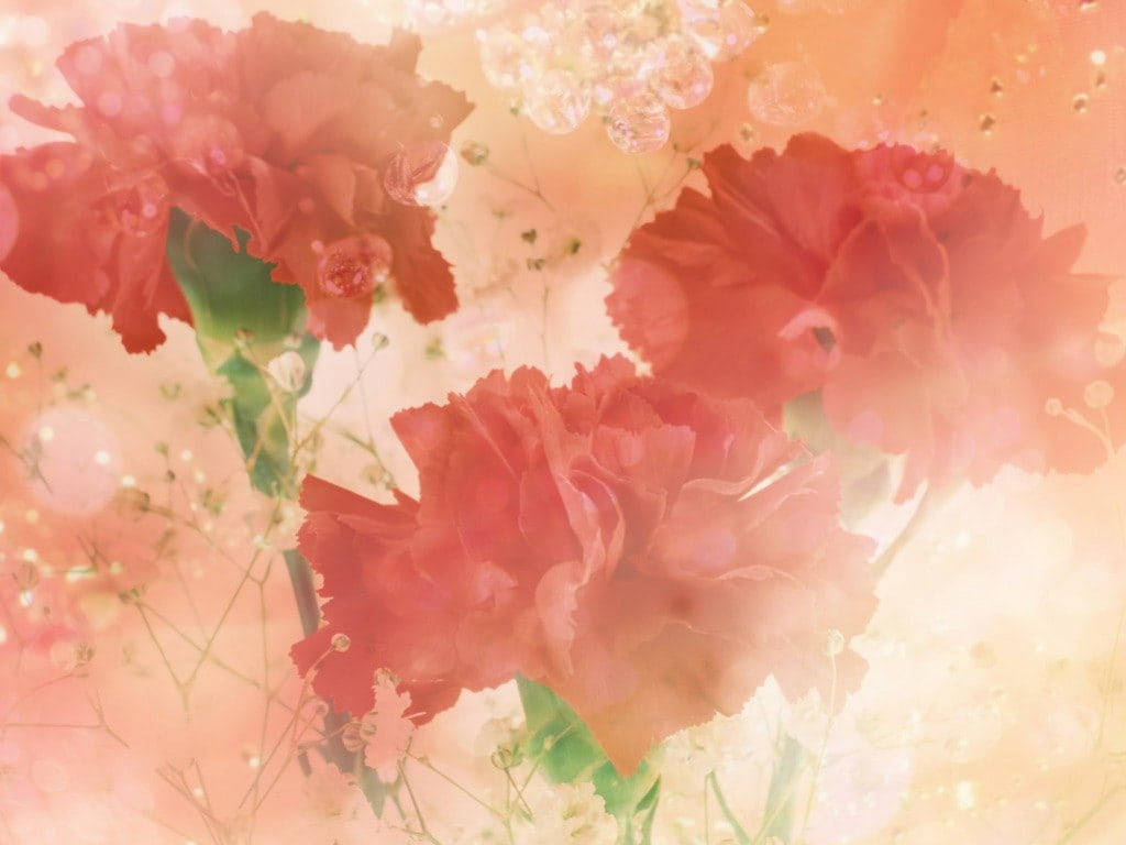Express Your Love With The Timeless Beauty Of Pastel Red Aesthetic Painted Carnations. Background