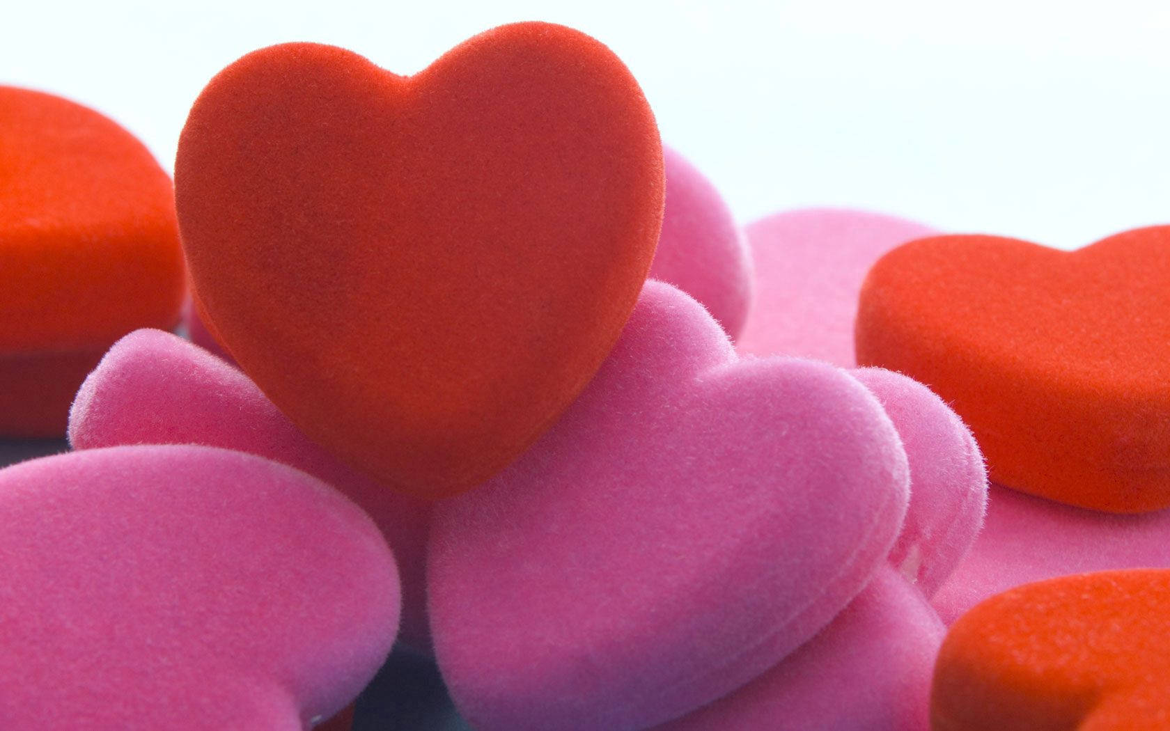 Express Your Love With This Beautiful Heart Made Of Pink And Red Foams.