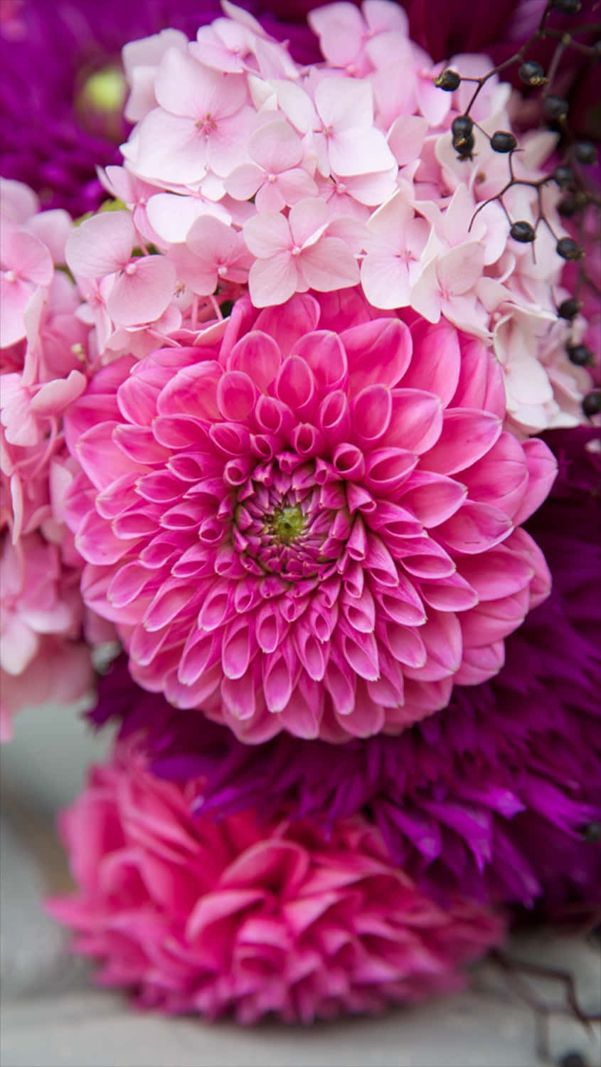 Express Your Style With This Beautiful Pink Flower Phone Background