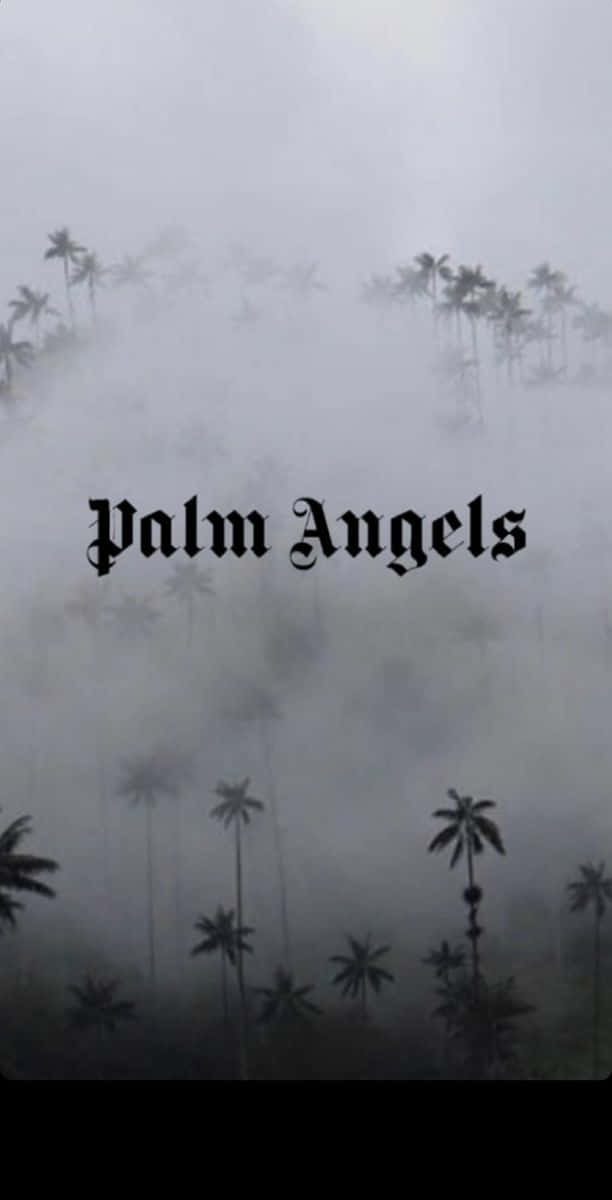 Express Yourself With Palm Angels Collections Of Street-style Inspired Clothing And Accessories