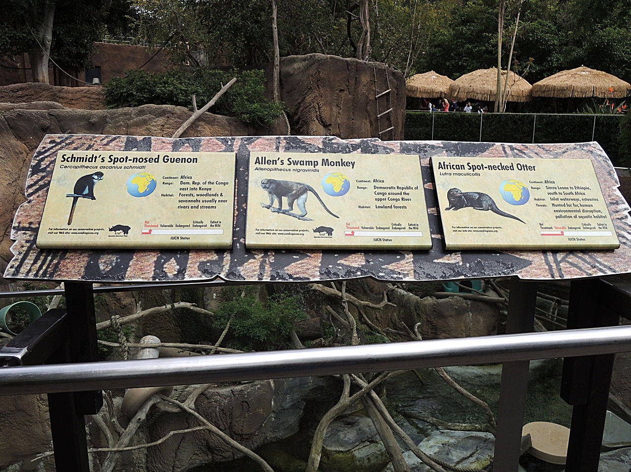 Exquisite Animal Plaques At The San Diego Zoo. Background