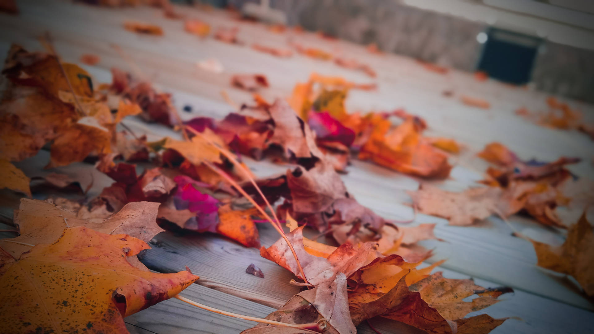 Exquisite Autumn Smartphone Amidst Colorful Leaves