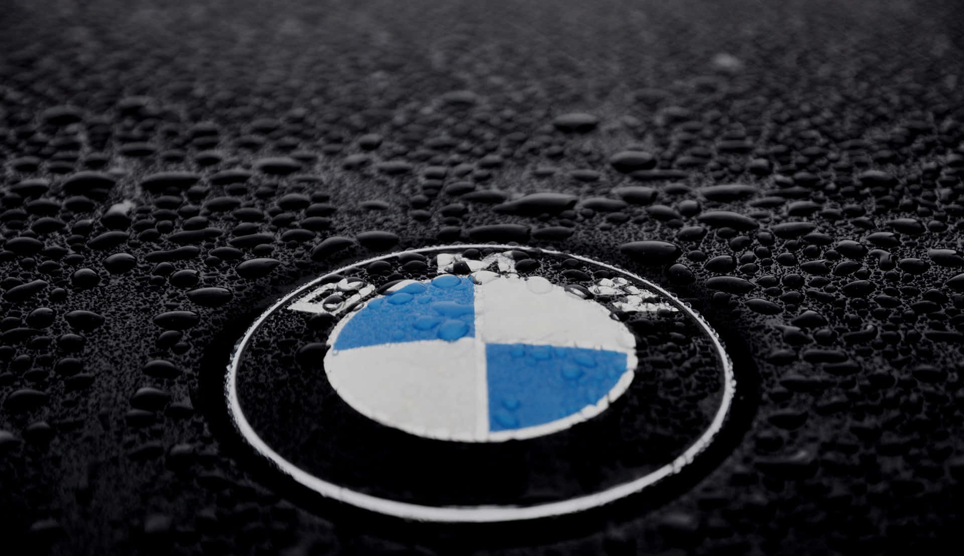 Exquisite Bmw Logo Emblazoned On A Sleek Bmw Car Background