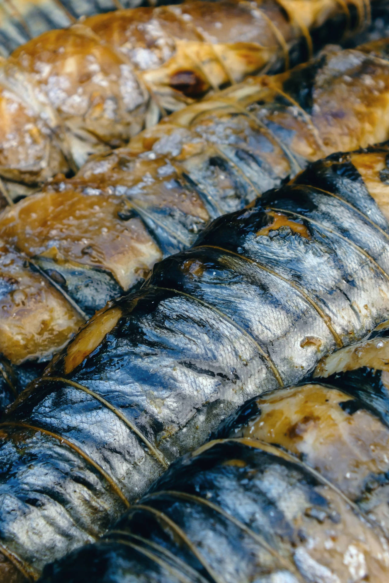 Exquisite Grilled Mackerel Fish Background