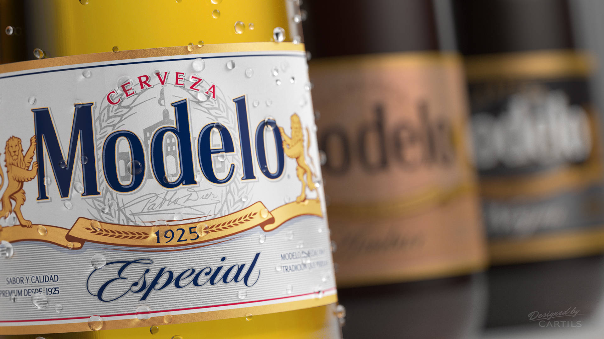 Exquisite Modelo Especial Beer Packaging Background