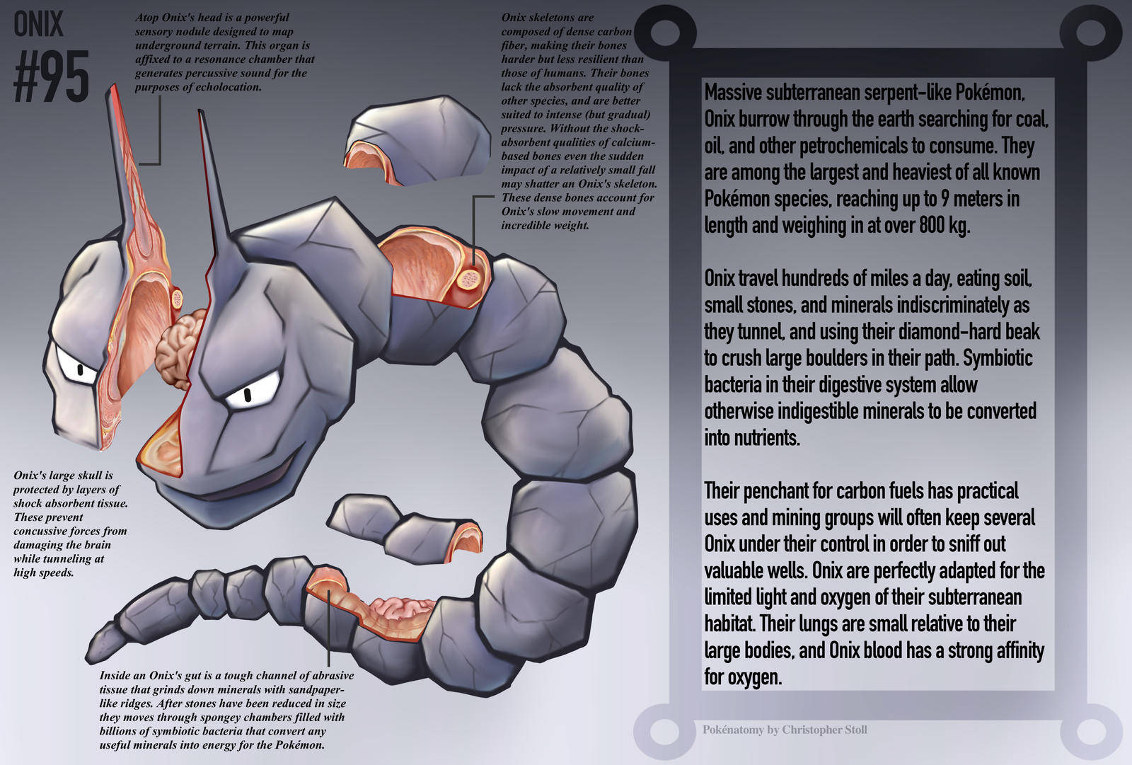 Exquisite Onix Illustrated Poster Background