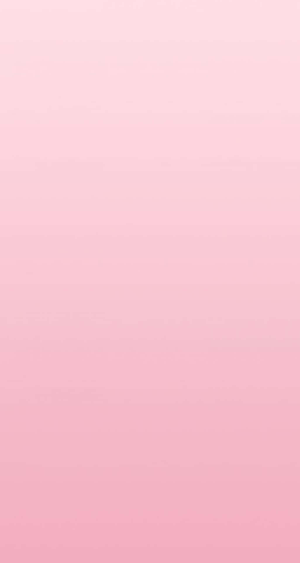 Exquisite Solid-hued Pink Background. Background