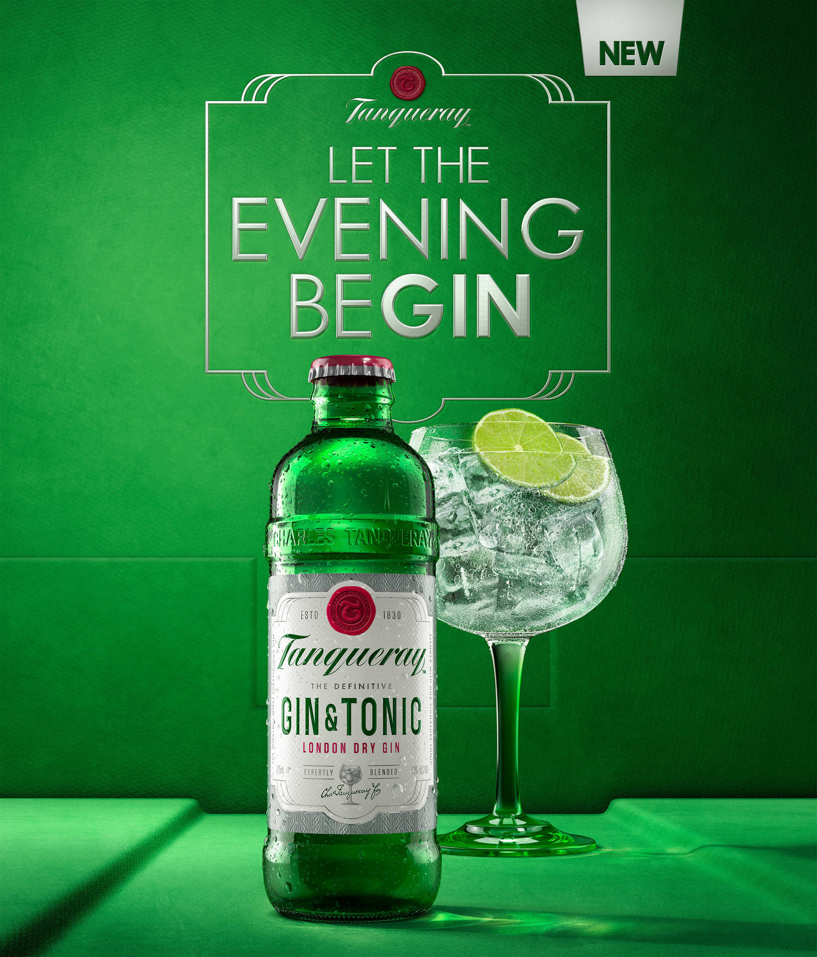 Exquisite Tanqueray Gin And Tonic - A Perfect Serve