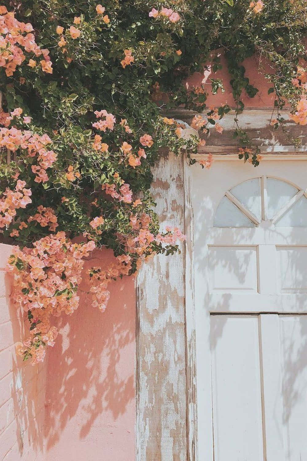Exquisite Vintage Peach Background