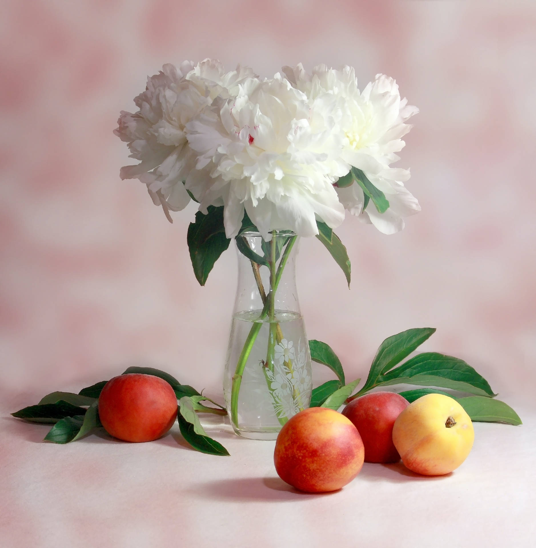 Exquisite White Flowers In Crystal Clear Vase Background