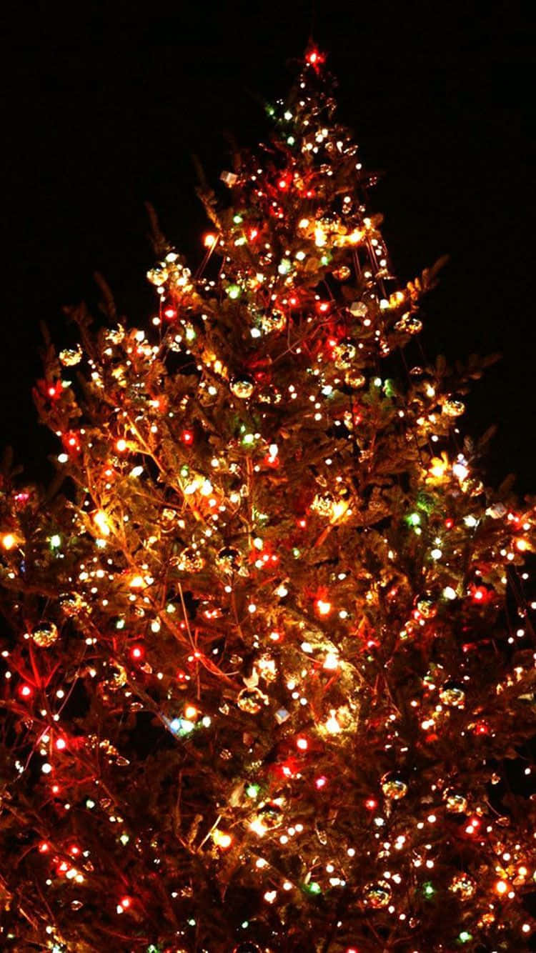 Extravagant Christmas Tree Holiday Iphone