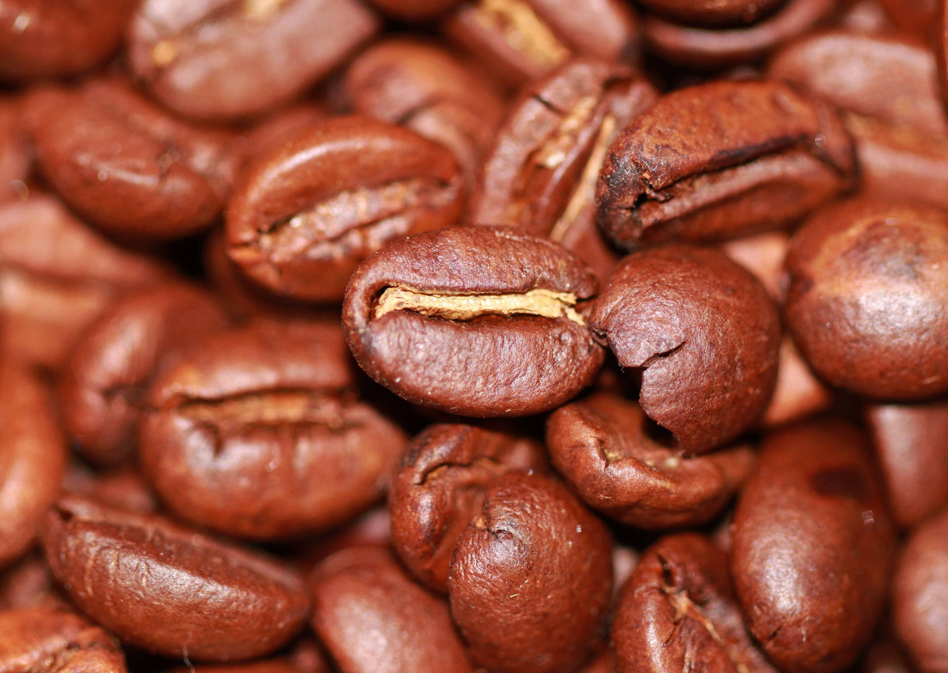 Extreme Close-up Coffee Beans Background