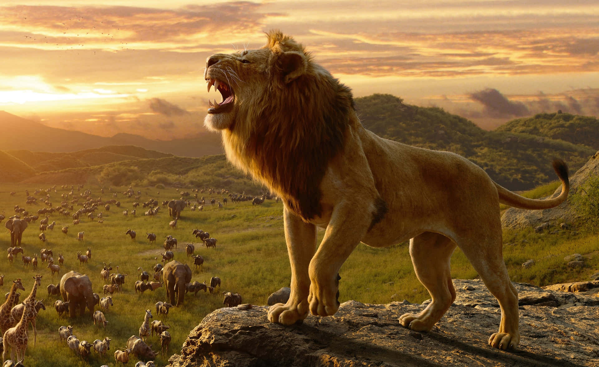 Extreme Roar Lion King Background