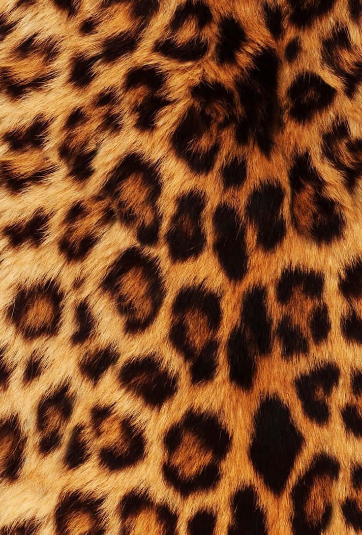 Eye-catching Leopard Print Pattern Background