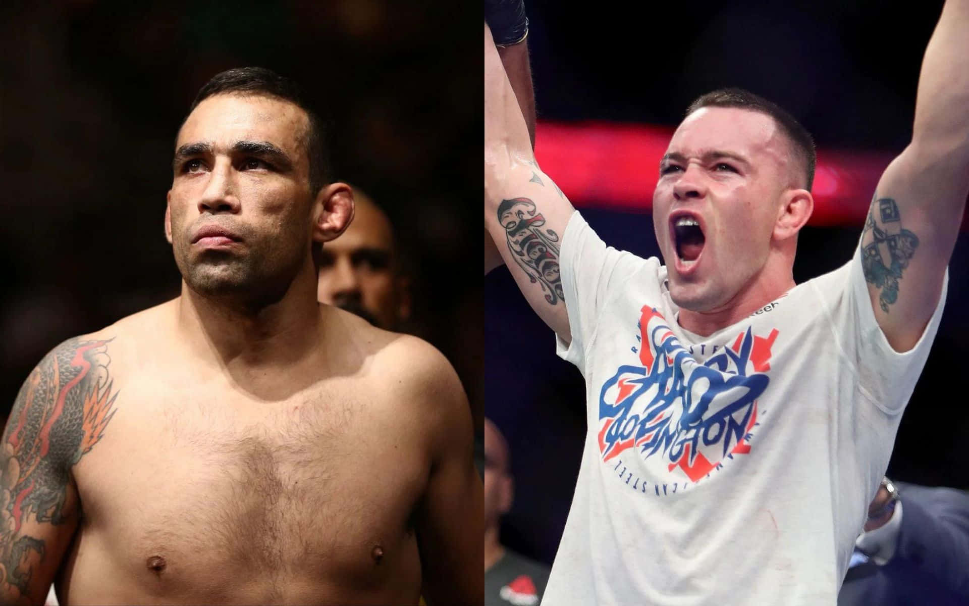 Fabricio Werdum And Colby Covington