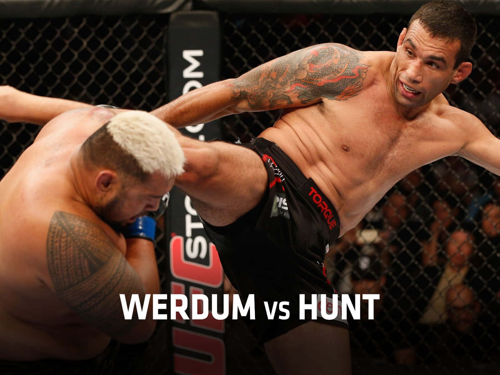 Fabricio Werdum And Mark Hunt Background