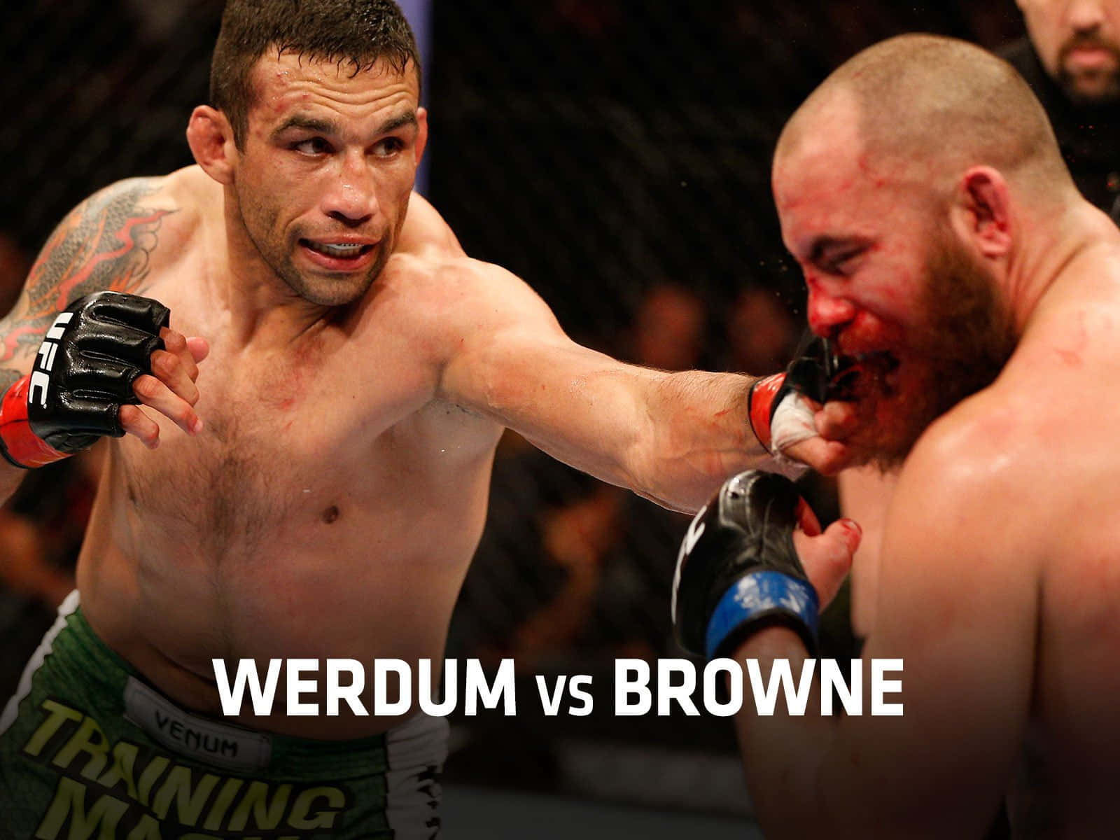 Fabricio Werdum And Travis Browne