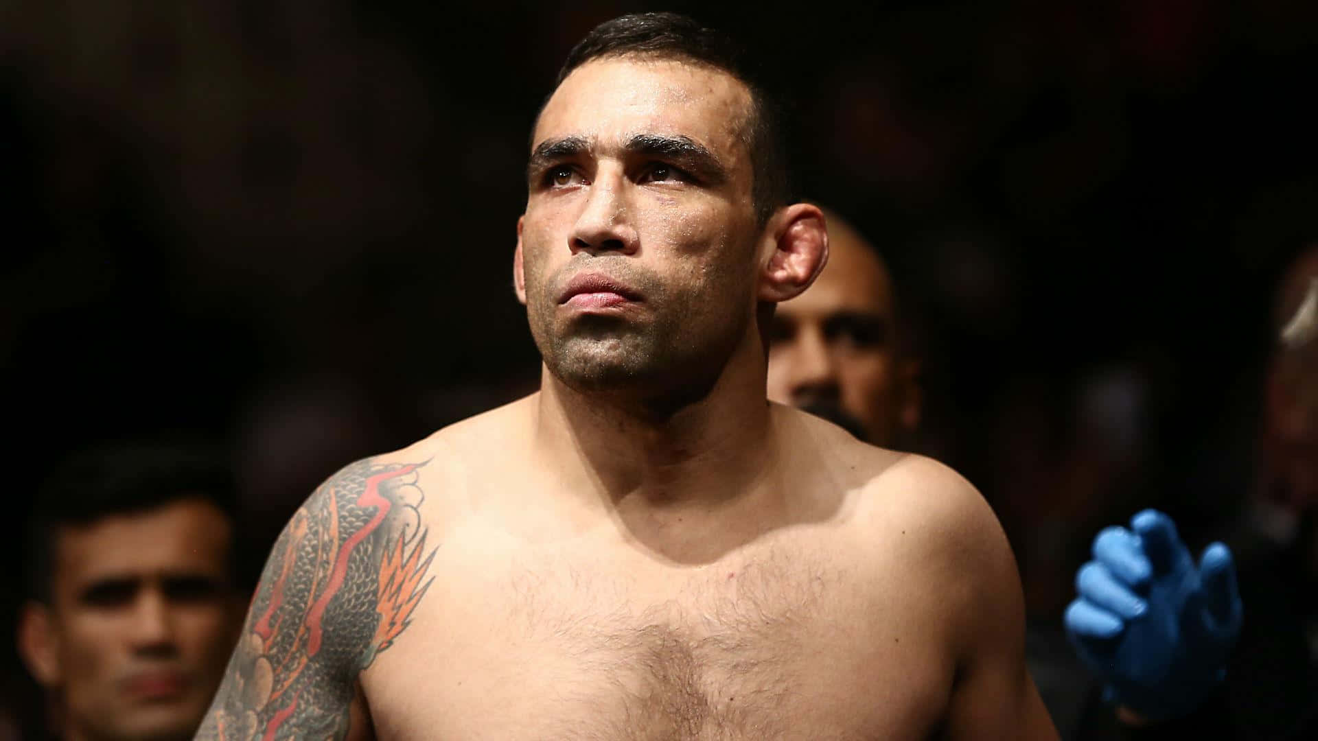 Fabricio Werdum Enter The Octagon