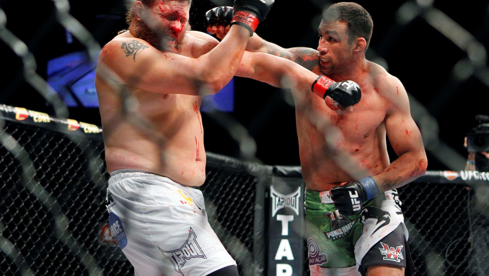 Fabricio Werdum Punching Roy Nelson