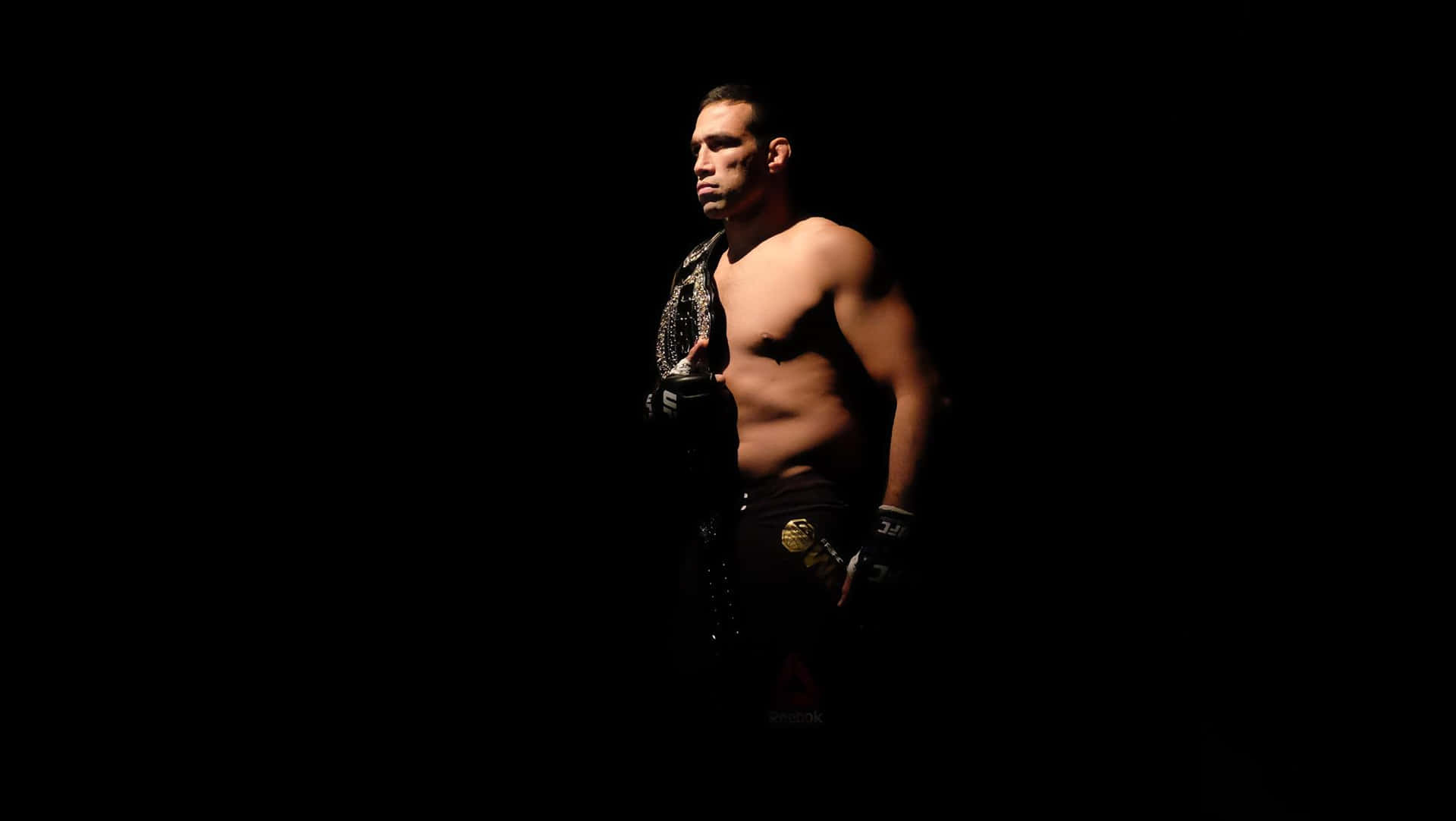 Fabricio Werdum Silhouette Photo