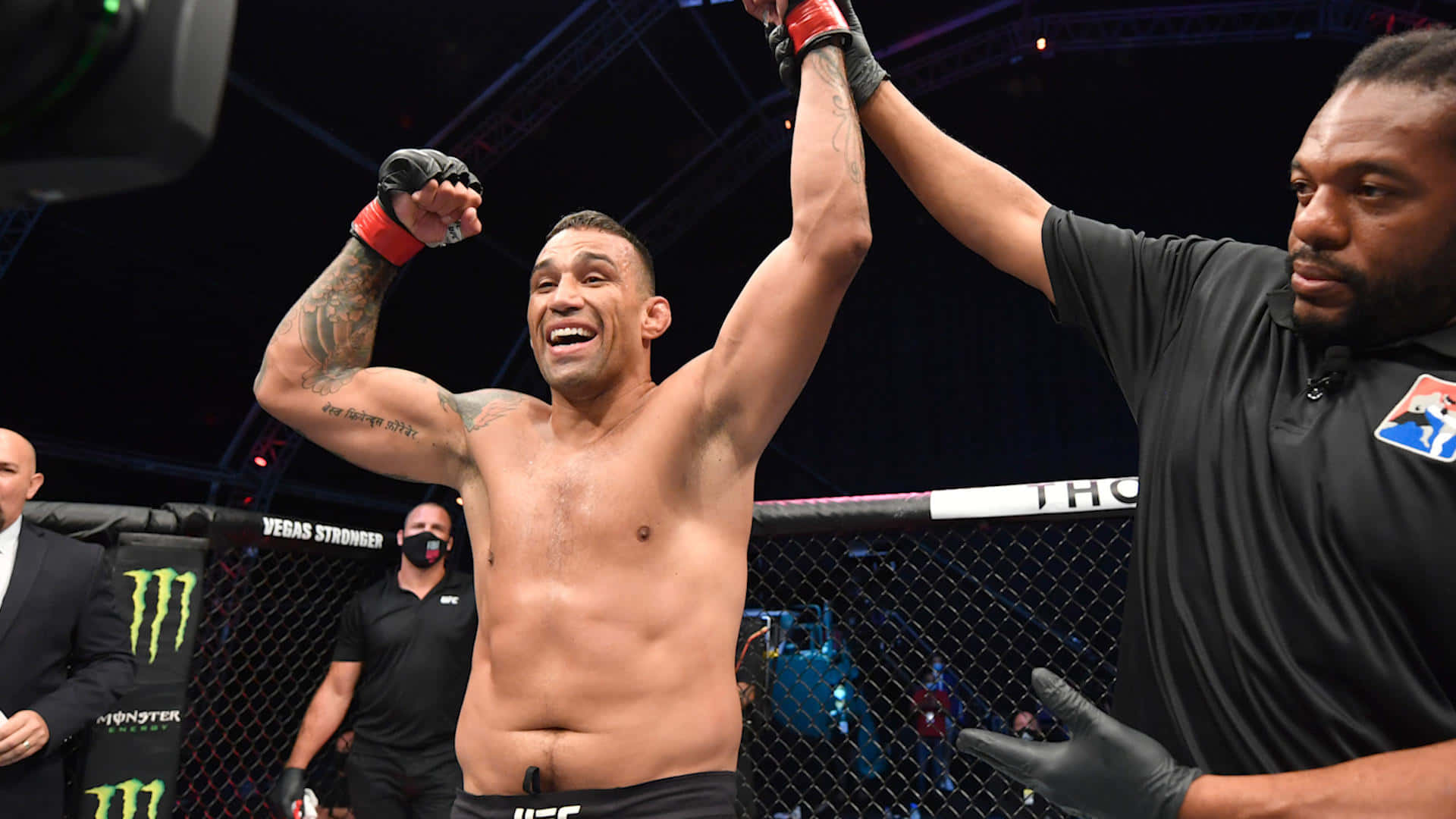 Fabricio Werdum Wins Against Alexander Gustafsson