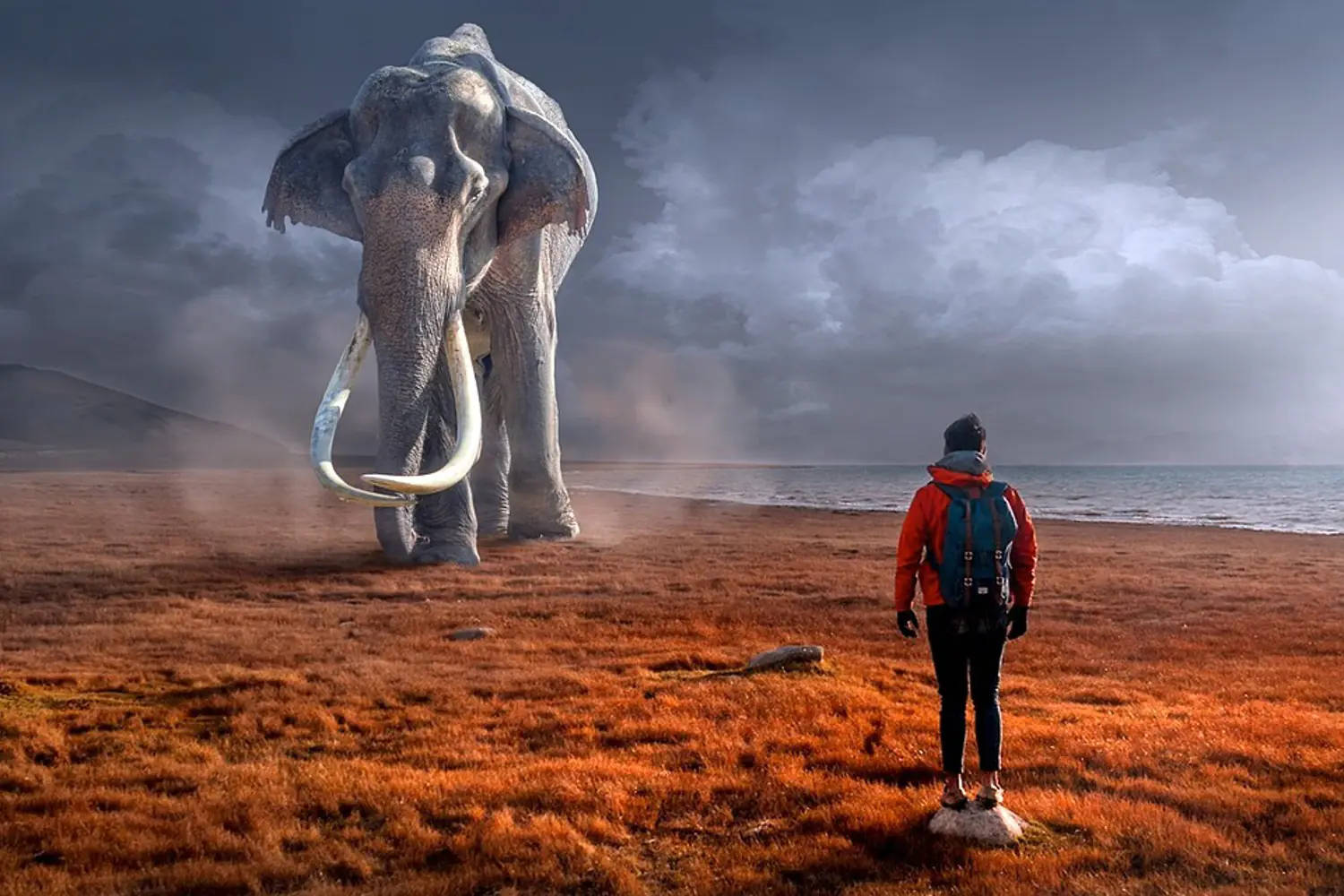 Face To Face With A Mammoth